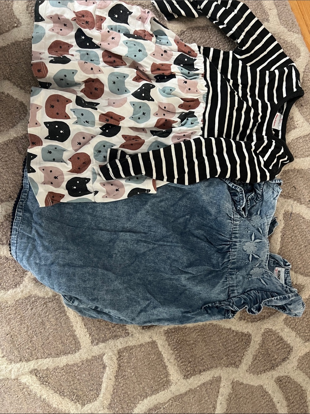 Hanna Andersson 3t cat dress and Hudson 3t denim dress